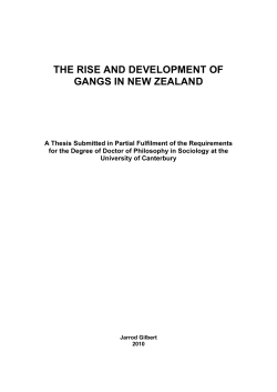 The rise and development of gangs in New Zealand
