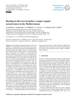 Burning of olive tree branches: a major organic aerosol source in the
