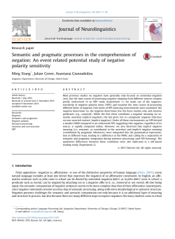 Semantic and pragmatic processes in the comprehension of negation