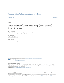 Food Habits of Green Tree Frogs (Hyla cinerea) from Arkansas