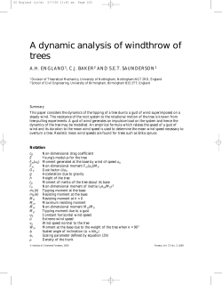 A dynamic analysis of windthrow of trees