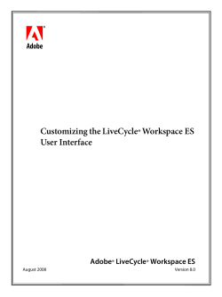 Customizing the LiveCycle Workspace ES User Interface