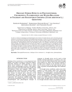 DROUGHT STRESS EFFECTS ON PHOTOSYNTHESIS