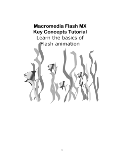 Macromedia Flash MX Key Concepts Tutorial Learn the basics of