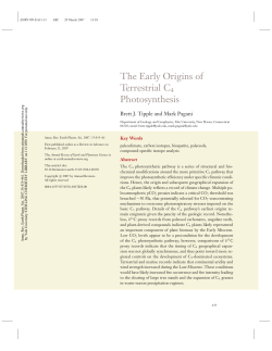 The Early Origins of Terrestrial C4 Photosynthesis