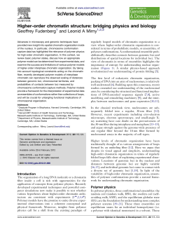 Higher-order chromatin structure: bridging physics - Mirny Lab