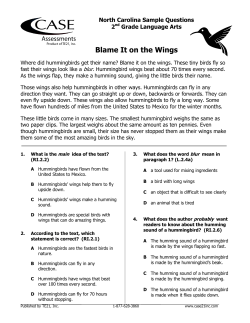 Blame It on the Wings