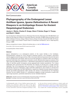 Phylogeography of the Endangered Lesser Antillean Iguana, Iguana