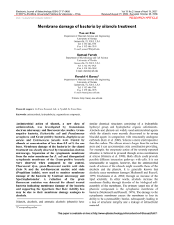 Membrane damage of bacteria by silanols treatment