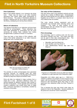 Flint Factsheet - Tees Archaeology