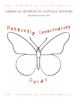The Butterfly Conservatory Educator`s Guide