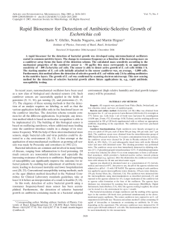 Rapid Biosensor for Detection of Antibiotic