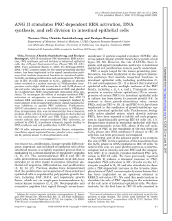 ANG II stimulates PKC-dependent ERK activation, DNA synthesis