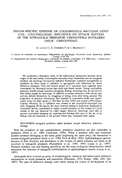 Instar-specific defense of Coleomegilla