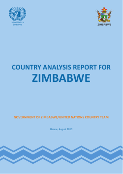 Country Analysis Report for Zimbabwe 2010
