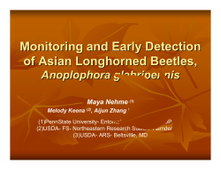 Monitoring and early detection of the Asian longhorned beetle