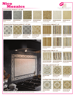monochromic mosaic 8&rdquo; x 8&rdquo; field squared to the 2nd power pattern