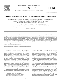 Stability and apoptotic activity of recombinant human cytochrome c