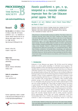 Haootia quadriformis n. gen., n. sp., interpreted as a muscular