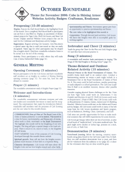 Cubs in Shining Armor - Medieval Fantasies Company