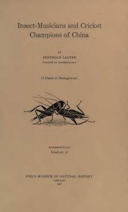 Insect-musicians and cricket champions of China