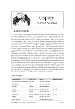 Osprey - EURAPMON