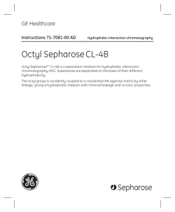 Octyl Sepharose CL-4B