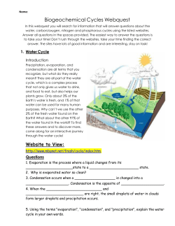 Biogeochemical Cycles Webquest