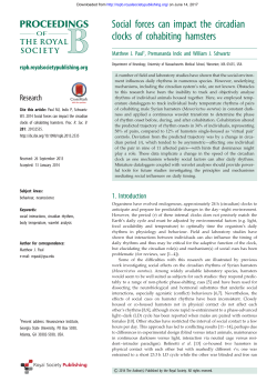 Social forces can impact the circadian clocks of cohabiting hamsters