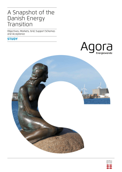 A Snapshot of the Danish Energy Transition