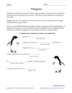 Penguins - Tlsbooks