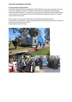 2015 - Stanbic Bank Zimbabwe