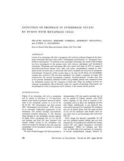 induction of prophase in interphase nuclei by fusion