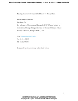 Elements Required for an Efficient NADP