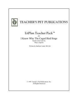 TEACHER`S PET PUBLICATIONS LitPlan Teacher Pack