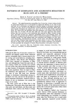 Patterns of Dominance and Aggressive Behavior in Blue Jays at a