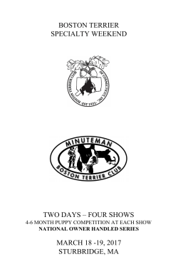 the premium list - Minuteman Boston Terrier Club