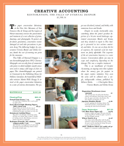 Creative Accounting: Restoration, The Falls of Eternal