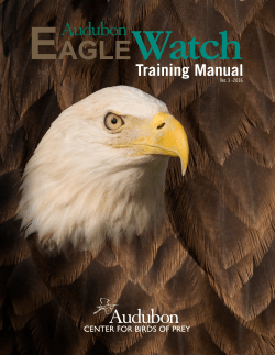 Training Manual - Audubon EagleWatch