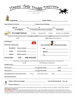 Overnight Options - Happy Tails Doggy Daycare