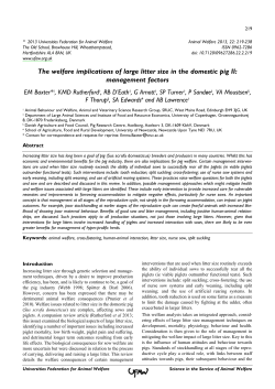 The welfare implications of large litter size in the domestic pig II