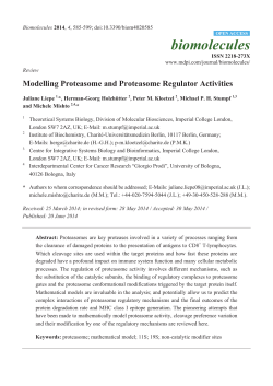 Modelling Proteasome and Proteasome Regulator Activities