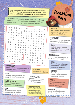 Puzzling Peru - Reading Agency