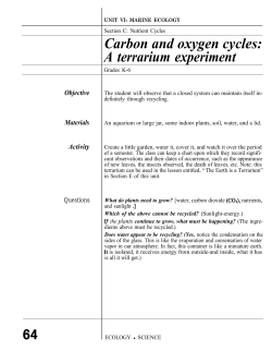Carbon and oxygen cycles: A terrarium experiment