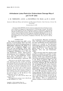 Arthrobacter Luteus Restriction Endonuclease Cleavage Map of