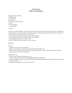 Practice Ideas Rookie Junior Mosquito