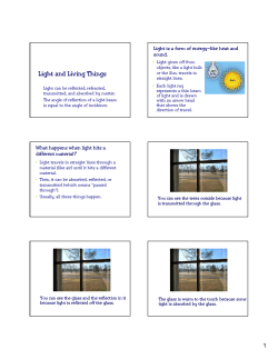 Light and Living Things