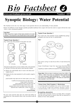 Water potential