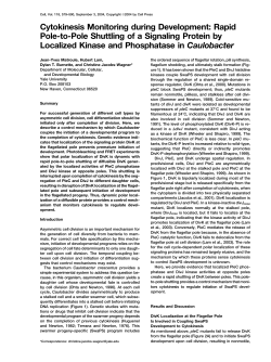 Cytokinesis Monitoring during Development: Rapid Pole-to