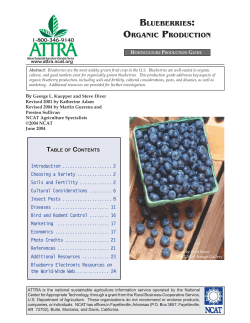 Blueberries: Organic Production - NOFA-NJ